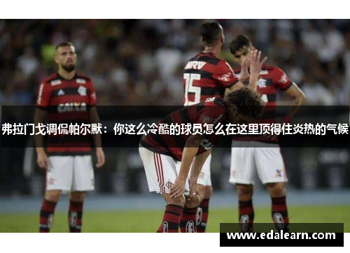 弗拉门戈调侃帕尔默：你这么冷酷的球员怎么在这里顶得住炎热的气候